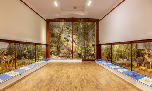 Test your knowledge and join us for a Quiz Night at The Museum