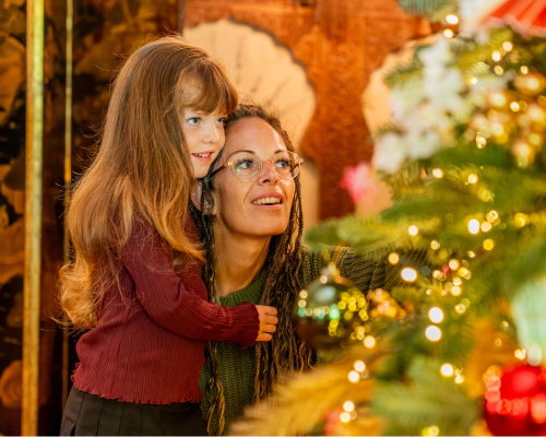 Cosy Quex House Christmas