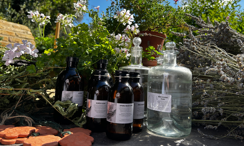 Botanical Journey in Quex Garden