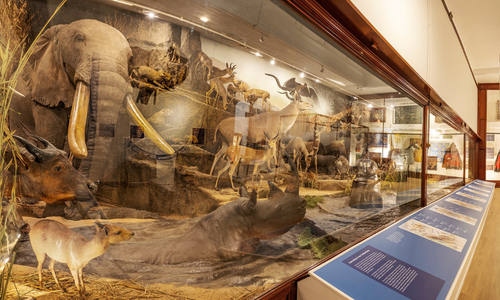 Standard Admission Tickets